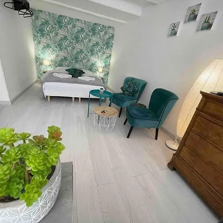 Appartamento Esprit Jungle ........ Au Coeur De Mulhouse