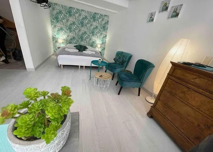Appartamento Esprit Jungle ........ Au Coeur De Mulhouse