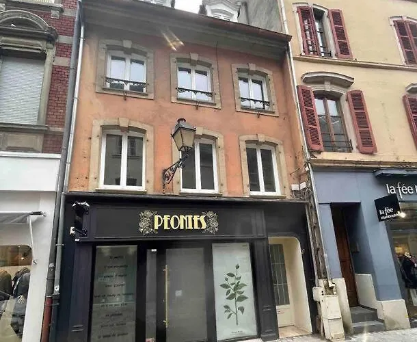 Esprit Jungle ........ Au Coeur De Appartamento Mulhouse